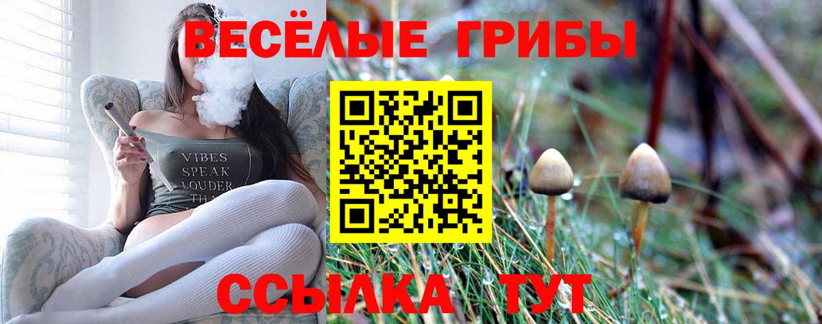 Спасск-Дальний  Псилоцибиновые грибы ЛСД  Вход с VPN  Галлюциногенные грибы Psilocybine cubensis 