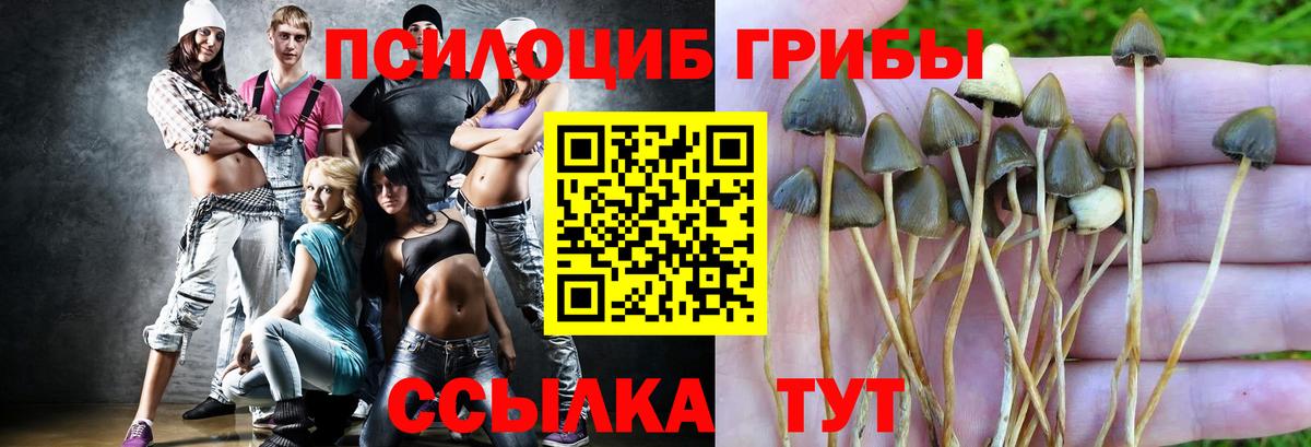 Галлюциногенные грибы GOLDEN TEACHER Спасск-Дальний